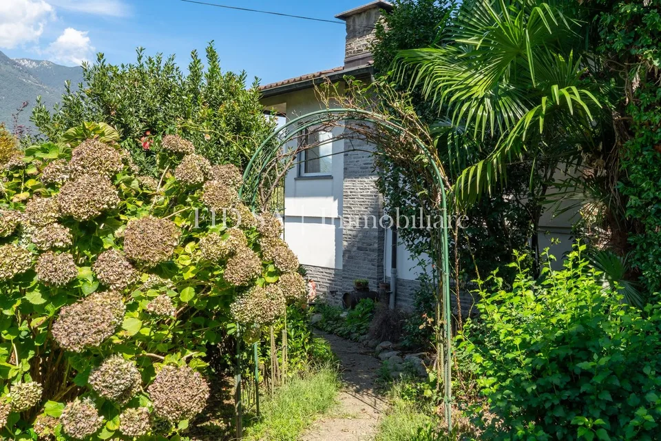 CONTONE - Einfamilienhaus inmitten von viel Grün mit grossem Grundstück – Foto 11 von 11