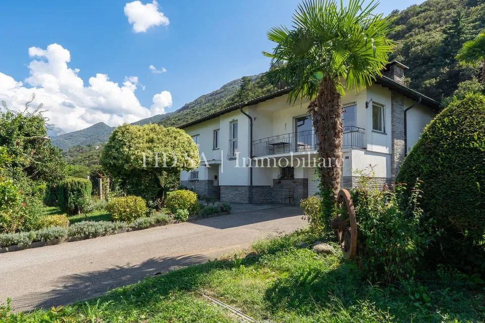 CONTONE - Einfamilienhaus inmitten von viel Grün mit grossem Grundstück – Foto 2 von 11