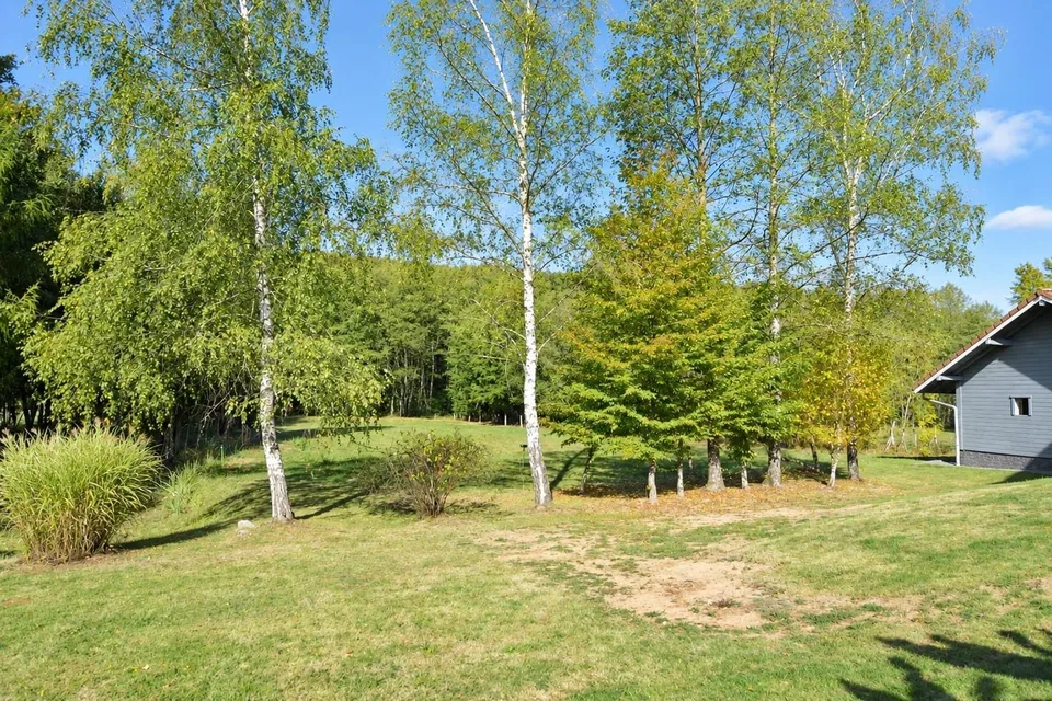 Chalet contemporaneo di 160 m² su 1,56 ettari di terreno con strutture equestri – foto 17 di 30