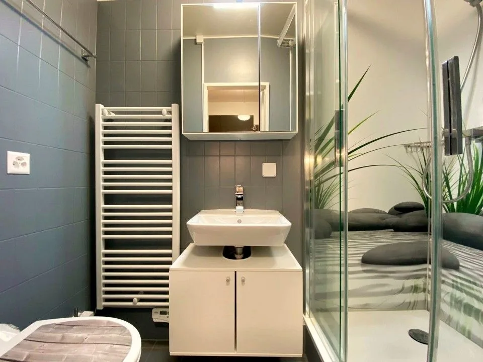 Superbe studio meublé // Centre-ville de Nyon – photo 4 sur 4