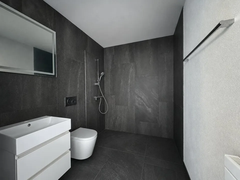 Modern. New. Home - First occupancy in Villigen – photo 6 of 6