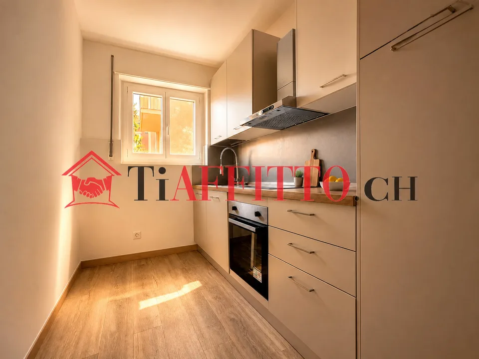 3.5 RENOVATED APARTMENT IN LUGANO CASSARATE – photo 4 of 6