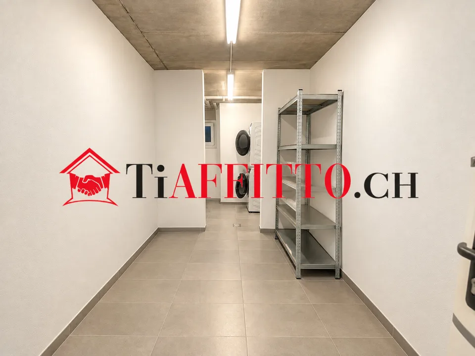 Bright and modern 2.5-room apartment in Lumino – photo 7 of 7