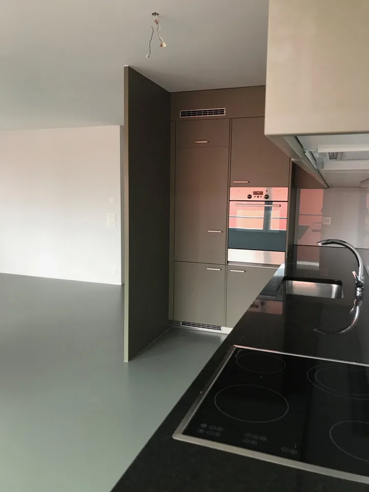 Appartamento moderno con loggia, 2 celle umide, torre di lavaggio privata – foto 3 di 8