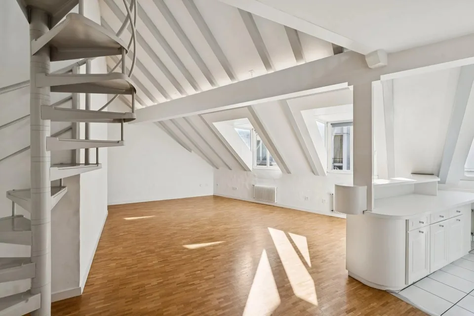 PLEIN CENTRE DE GENÈVE ? RUES BASSES ? ÉLÉGANT DUPLEX AVEC ASCENSEUR – photo 3 sur 13