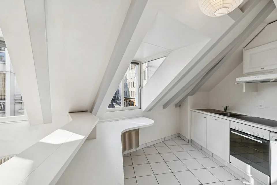 PLEIN CENTRE DE GENÈVE ? RUES BASSES ? ÉLÉGANT DUPLEX AVEC ASCENSEUR – photo 4 sur 13