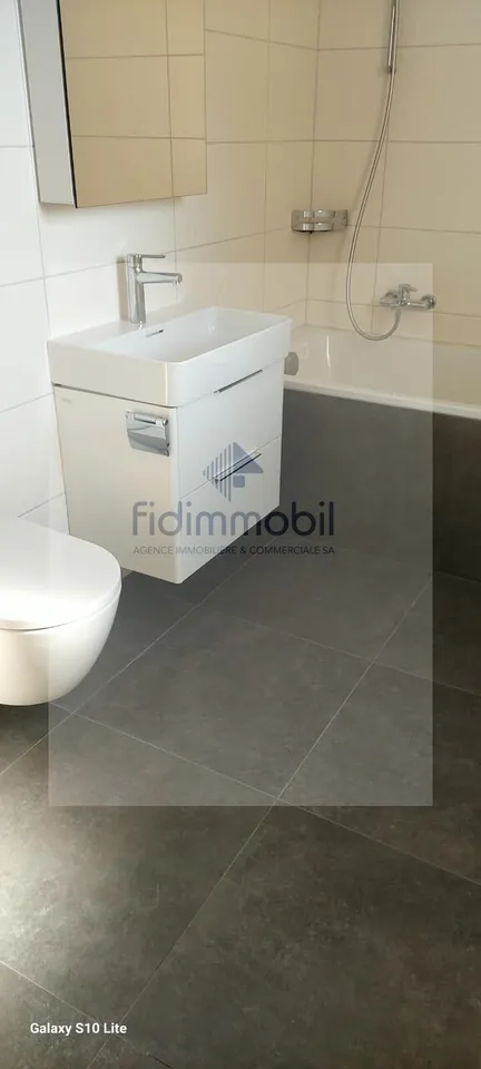 Bel appartement entièrement rénové, lumineux et agréable à vivre. – photo 4 sur 7