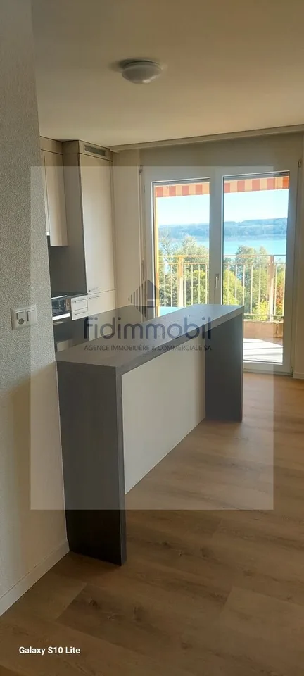 Bel appartement entièrement rénové, lumineux et agréable à vivre. – photo 5 sur 7