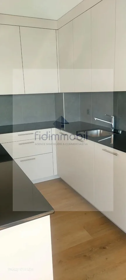 Bel appartement entièrement rénové, lumineux et agréable à vivre. – photo 3 sur 7