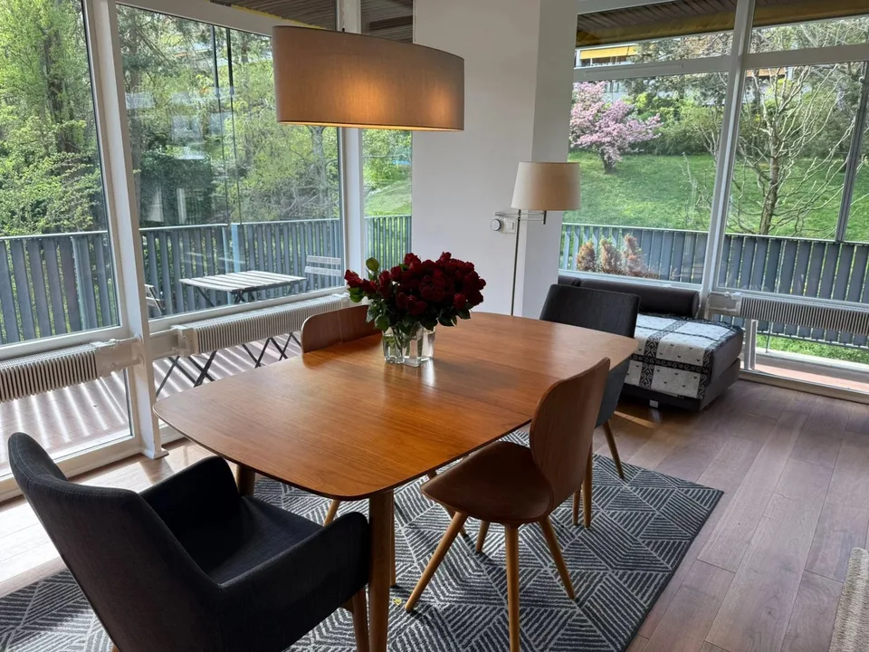 Magnifique appartement lumineux meublé récemment rénové de 58 m2 et 24 m2 de terrasse avec vue dégagée sur le parc – photo 3 sur 13