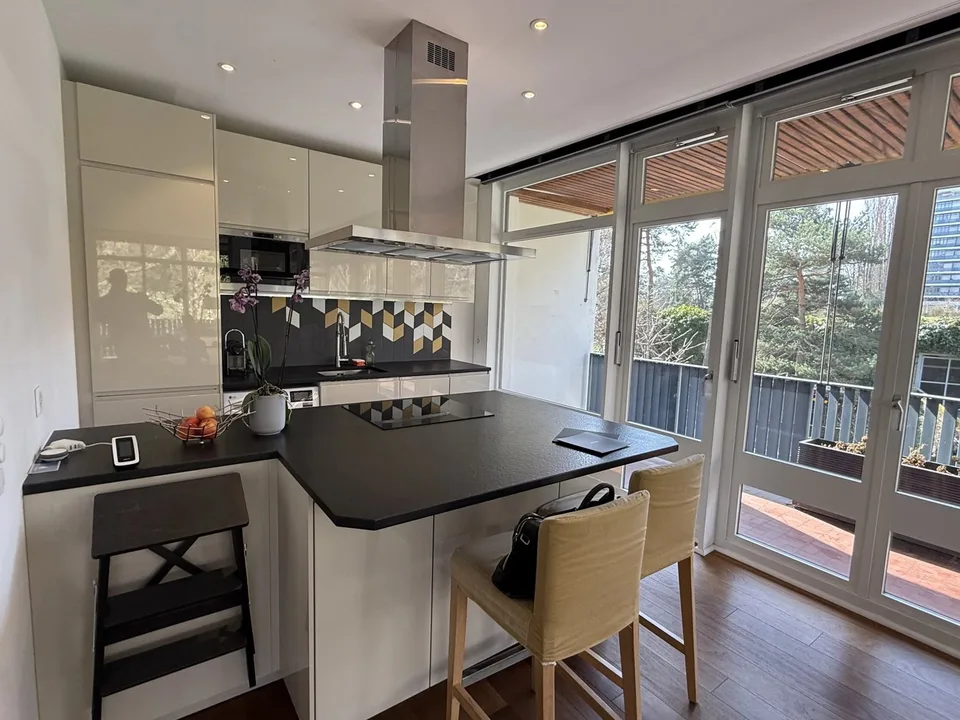 Magnifique appartement lumineux meublé récemment rénové de 58 m2 et 24 m2 de terrasse avec vue dégagée sur le parc – photo 5 sur 13