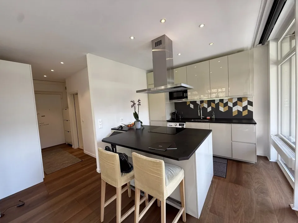 Magnifique appartement lumineux meublé récemment rénové de 58 m2 et 24 m2 de terrasse avec vue dégagée sur le parc – photo 4 sur 13
