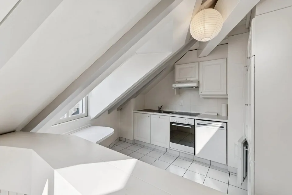 CENTRO DI GINEVRA? STRADE BASSO? ELEGANTE DUPLEX CON ASCENSORE – foto 5 di 13