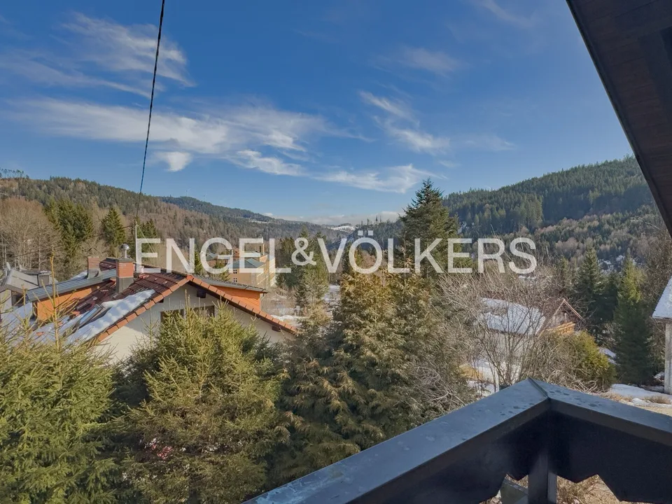 Residenza della Foresta Nera vicino al confine svizzero con vista sulle montagne – foto 12 di 13