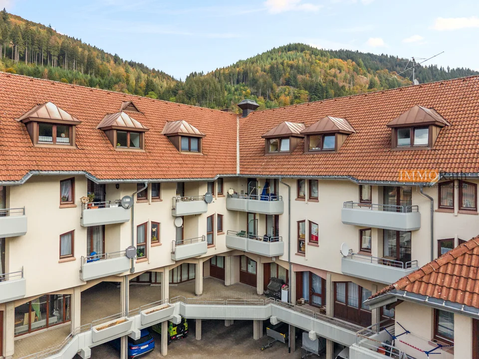 IMMORath.de - Großzügige 1-Zimmerwohnung mit Balkon in Todtnau – Foto 10 von 13