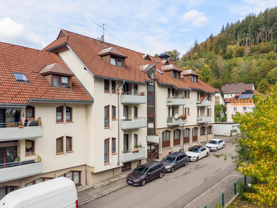 IMMORath.de - Lichtdurchflutete 1-Zimmerwohnung mit Balkon in Todtnau – Foto 9 von 13