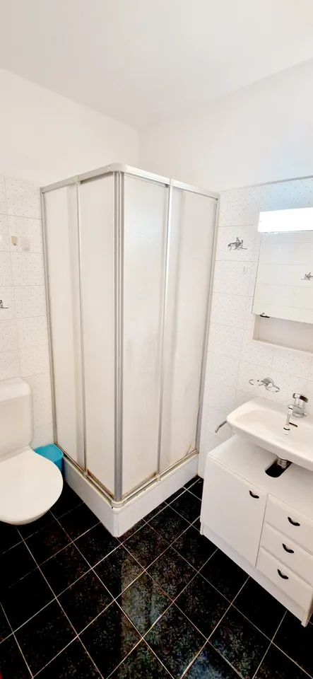 Grande maison mitoyenne 6,5 avec terrasse panoramique et jardins – photo 14 sur 21