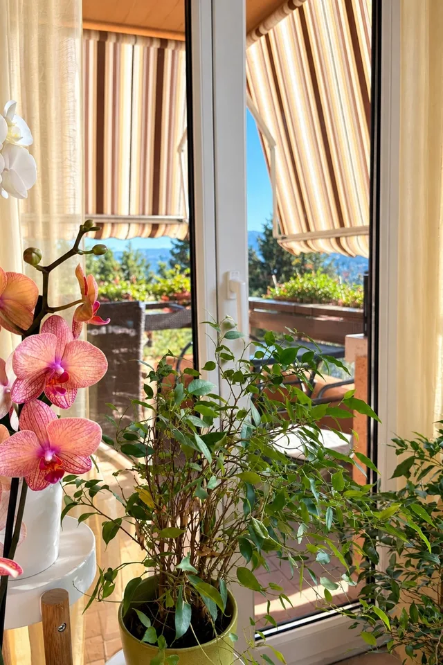 Appartement lumineux 3,5 pièces avec vue panoramique, cuisine rénovée et balcon – photo 4 sur 14