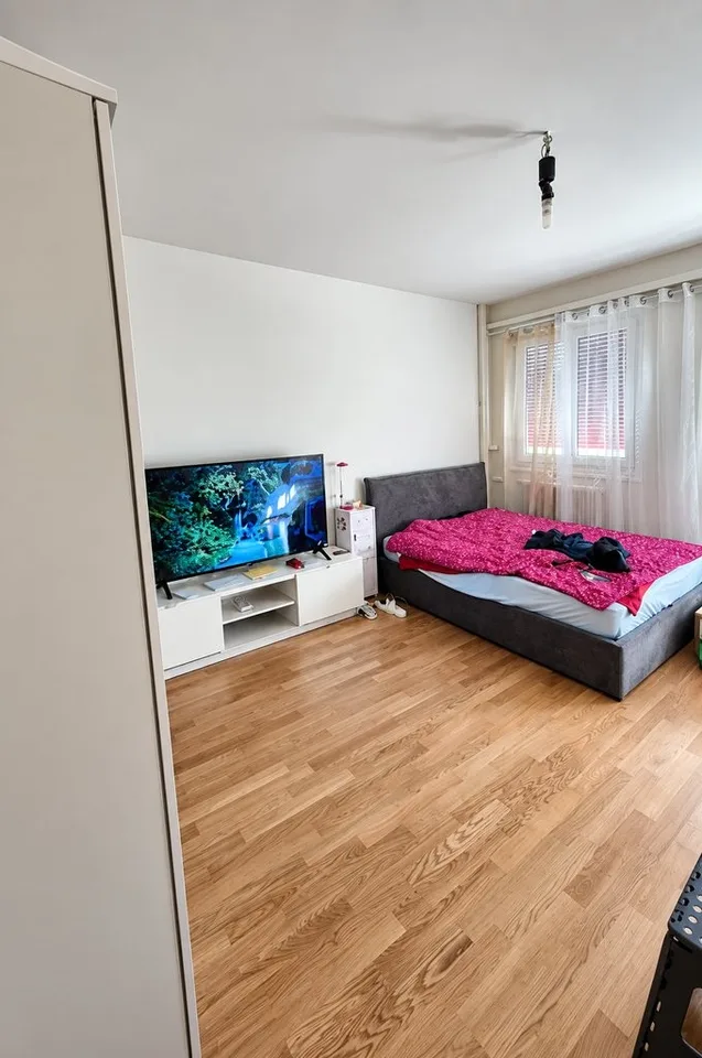 Not to be missed! Splendid accommodation just two steps from Geneva's Cornavin railway station! – photo 3 of 4