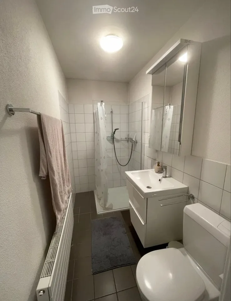 Großes 2-Zimmer-Wohnung mit Balkon in Palézieux-Village – Foto 5 von 5