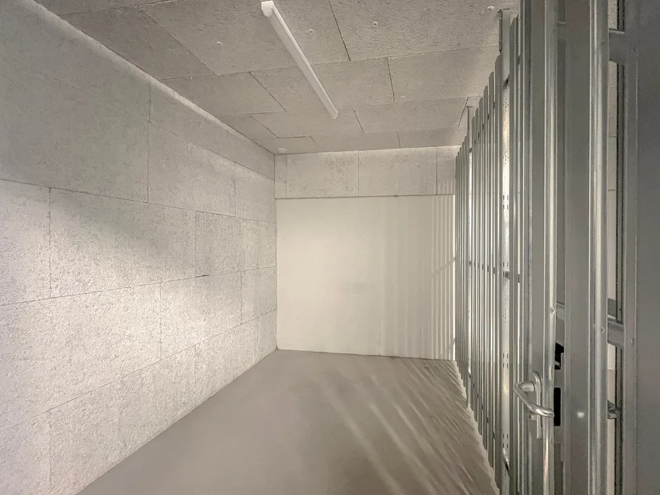 With the elevator directly into the apartment - spacious attic maisonette in front of Zurich's gates – photo 15 of 17