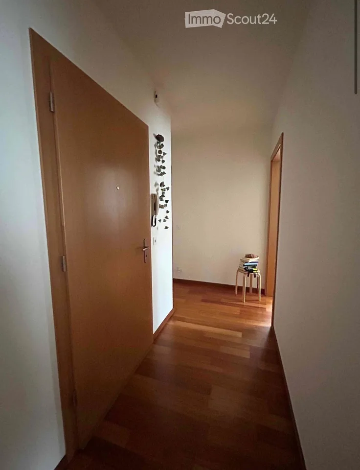 Suche Einzieher 3.5 Mendrisio – Foto 3 von 5