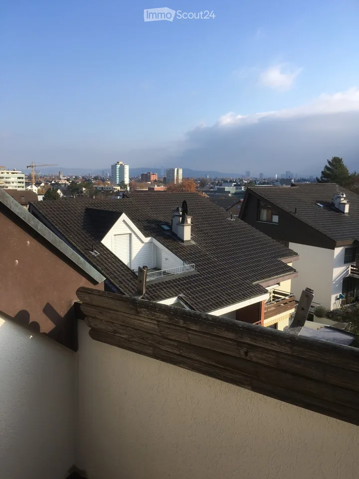 Renovierte helle 2.5. Zimmer Dachwohnung in Allschwil – Foto 4 von 5