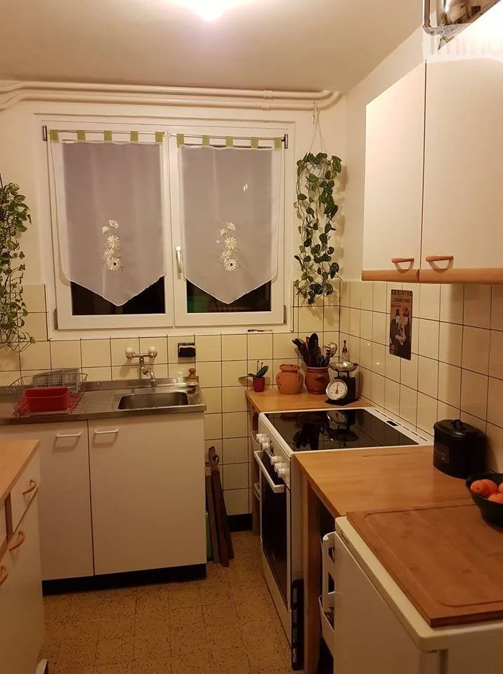 2,5 Zimmer mitten in den Weinbergen zu vermieten ab 1. Januar 27 – Foto 2 von 5