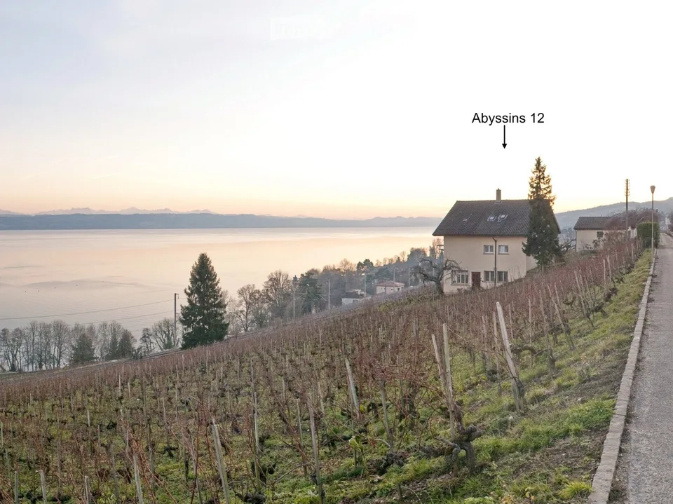 2,5 Zimmer mitten in den Weinbergen zu vermieten ab 1. Januar 27 – Foto 5 von 5