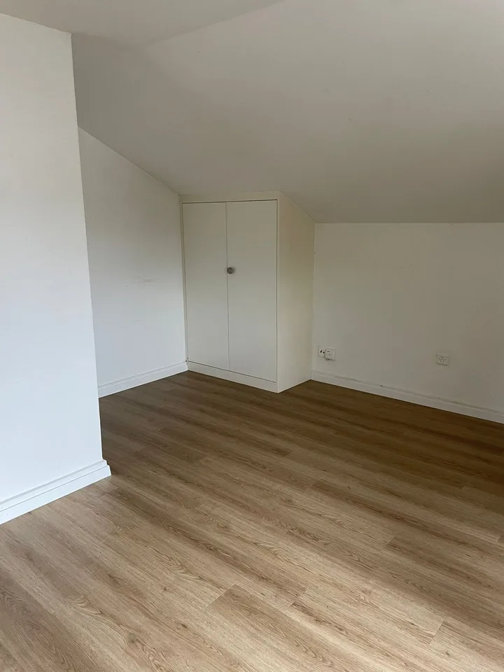 Renovated, cozy 1-room apartment – photo 4 of 7