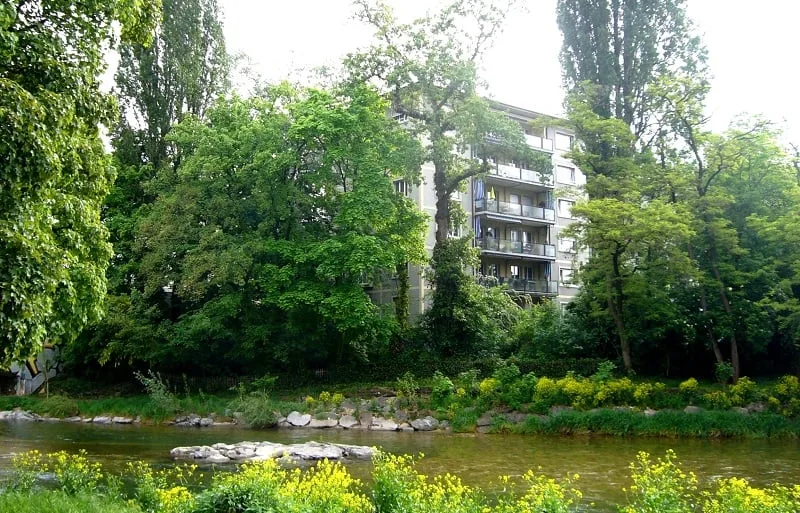 Wohnen direkt an der Birs – Foto 7 von 8