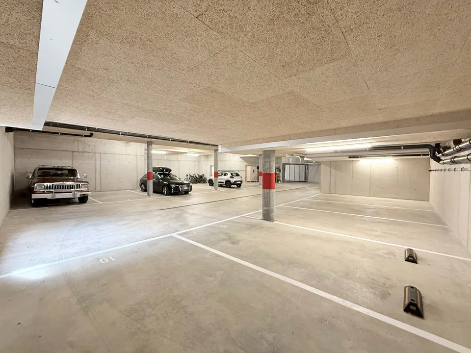 Modern 4.5-room new building apartment on the ground floor in Frutigen – photo 25 of 26