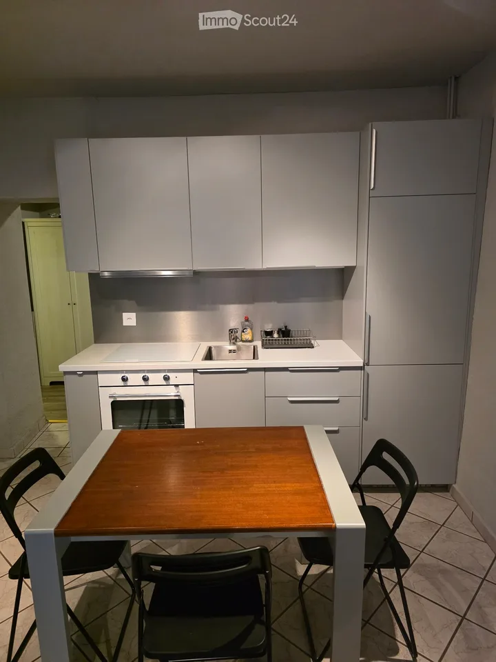 Einzimmerwohnung eingerichtet in Contone CHF 900 – Foto 2 von 5