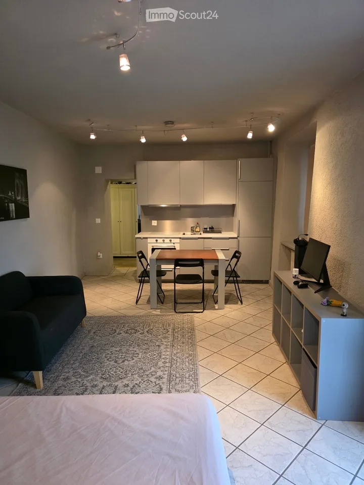 Einzimmerwohnung eingerichtet in Contone CHF 900 – Foto 3 von 5