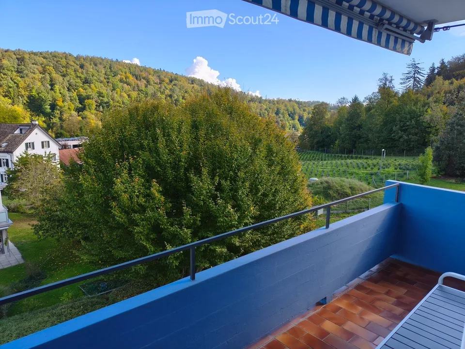 Helles 3.5-Zimmer-Apartment mit Balkon in Adliswil – Foto 3 von 5