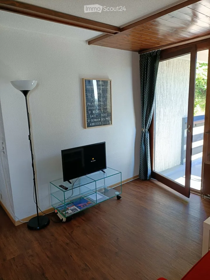 Helles 2,5-Zimmer-Wohnung, möbliert, Balkon – Foto 2 von 5