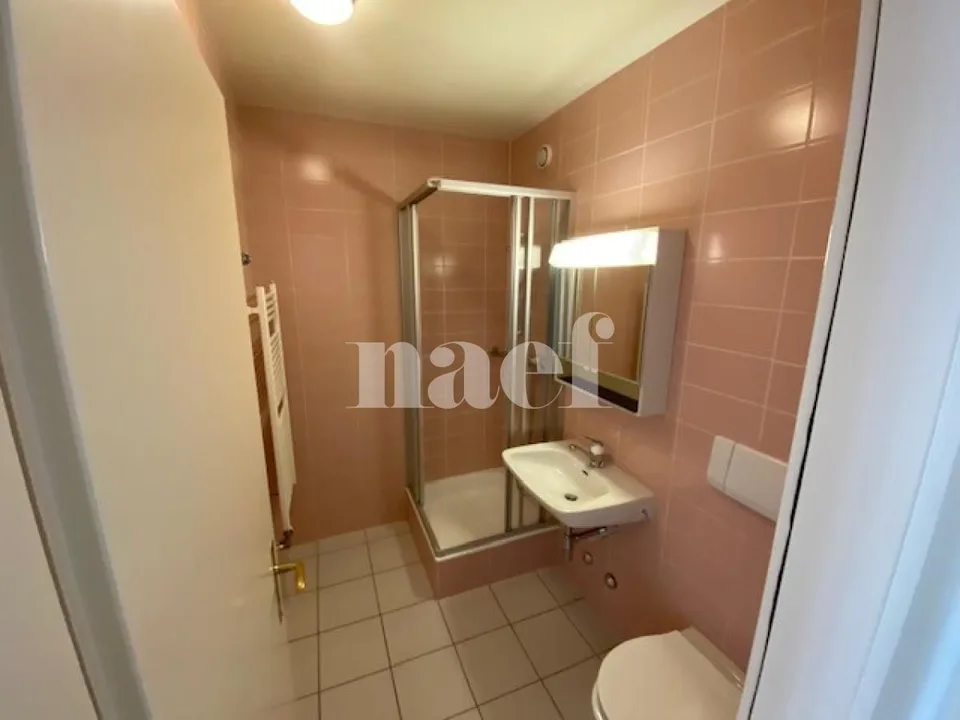 Wohnung mit 5 Zimmern und großem Balkon in Carouge – Foto 9 von 11