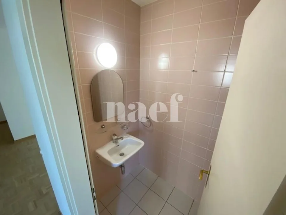 Wohnung mit 5 Zimmern und großem Balkon in Carouge – Foto 10 von 11