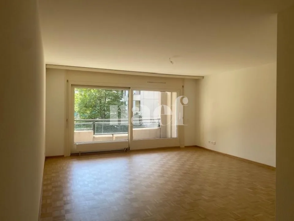 Wohnung mit 5 Zimmern und großem Balkon in Carouge – Foto 4 von 11