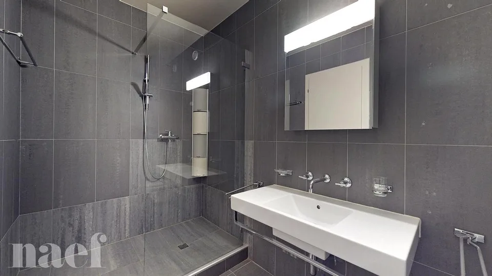 Schönes Duplex in Carouge an der Rue des Caroubiers 15 – Foto 12 von 13