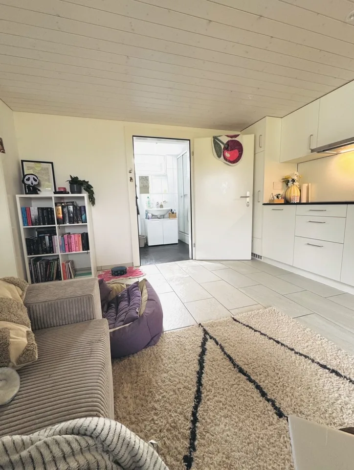 2-room apartment in beautiful Seetal - pets welcome – photo 2 of 8
