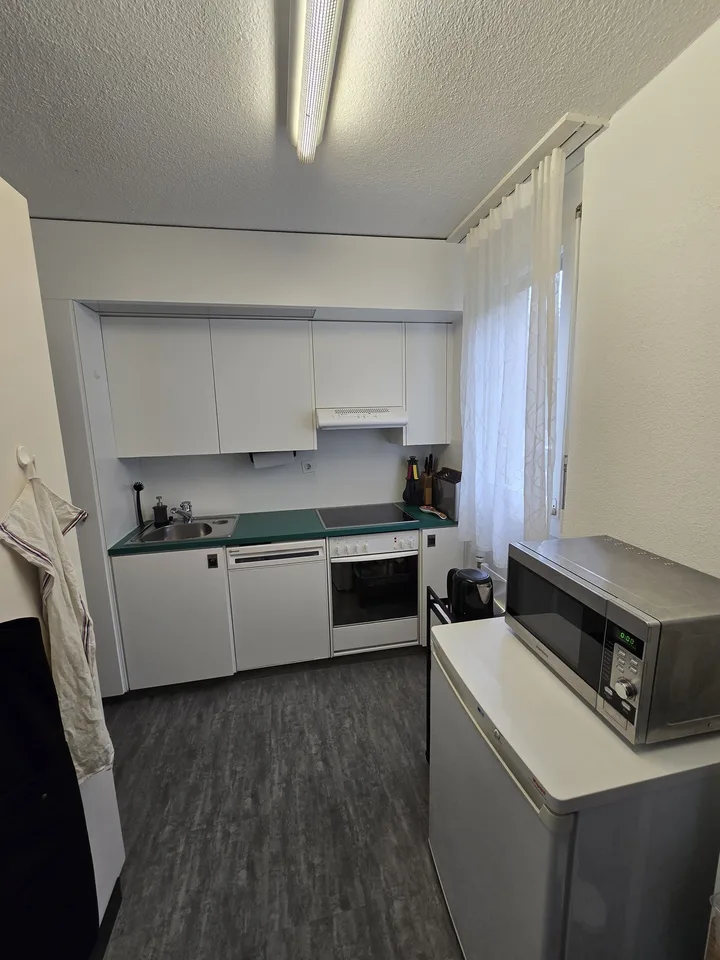 2.5-Zimmer-Wohnung mit privatem Garten in Zollikon – Foto 4 von 6