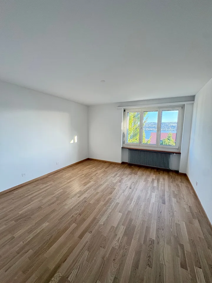 Appartamento luminoso di 5 locali con vista meravigliosa sul lago a Thalwil – foto 5 di 9