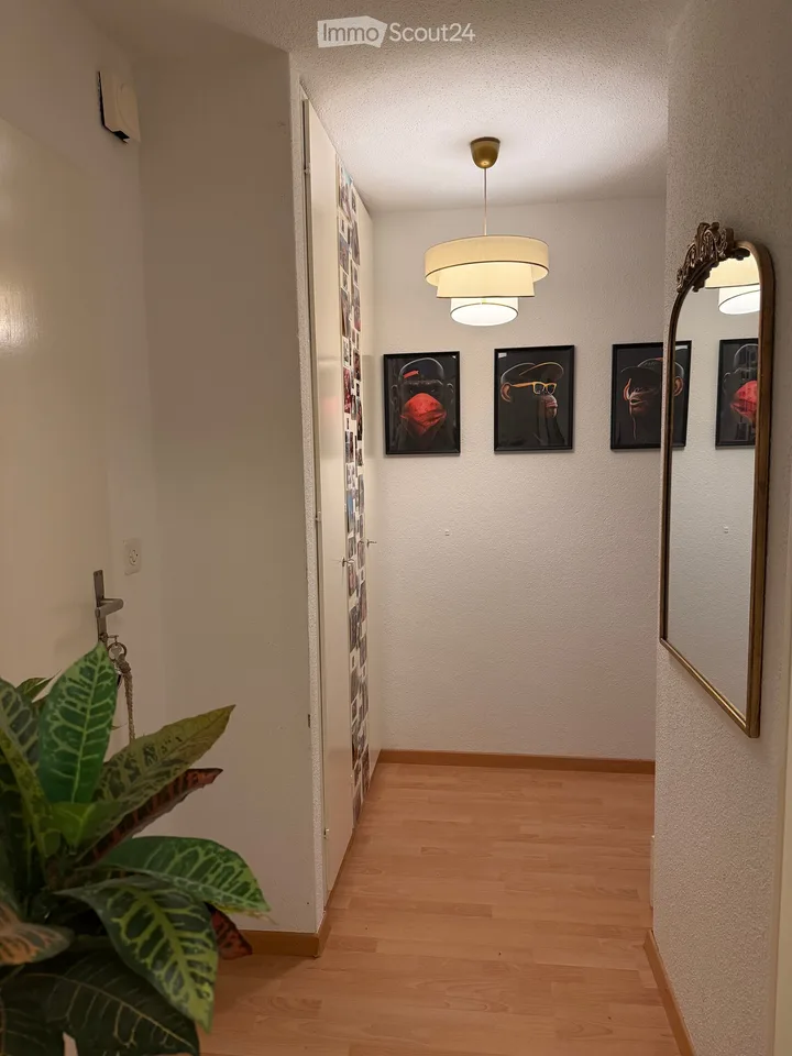 Gemütliche 2-Zimmer-Wohnung mit Terrasse in Adliswil – Nachmieter:in gesucht – Foto 5 von 5