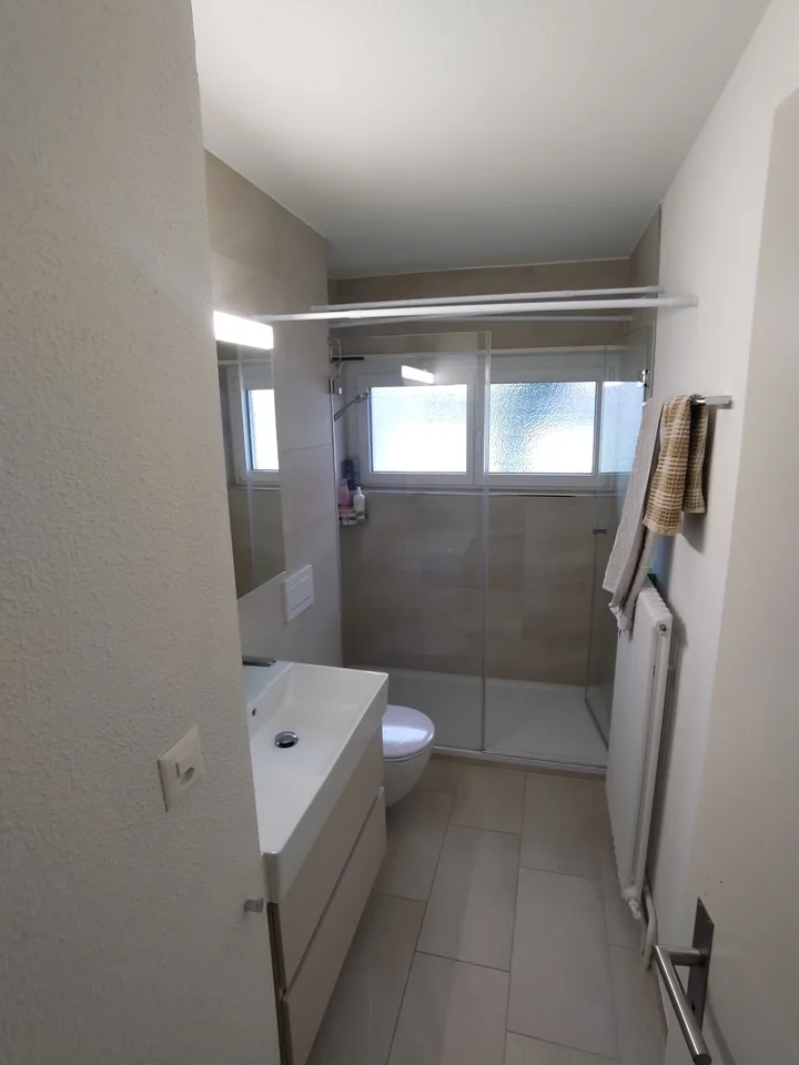 Bel appartement rénové en 2025 avec tour de lavage privée – photo 3 sur 7