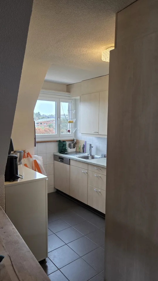 Exklusive 4-Zimmer-Attikawohnung mit traumhafter Aussicht über Adliswil und die Albiskette – Foto 4 von 13