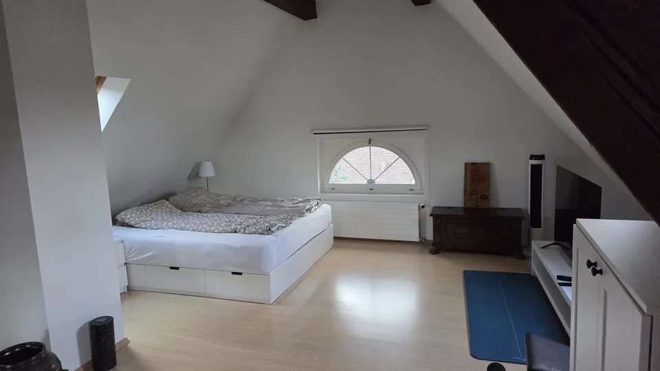 Exklusive 4-Zimmer-Attikawohnung mit traumhafter Aussicht über Adliswil und die Albiskette – Foto 6 von 13
