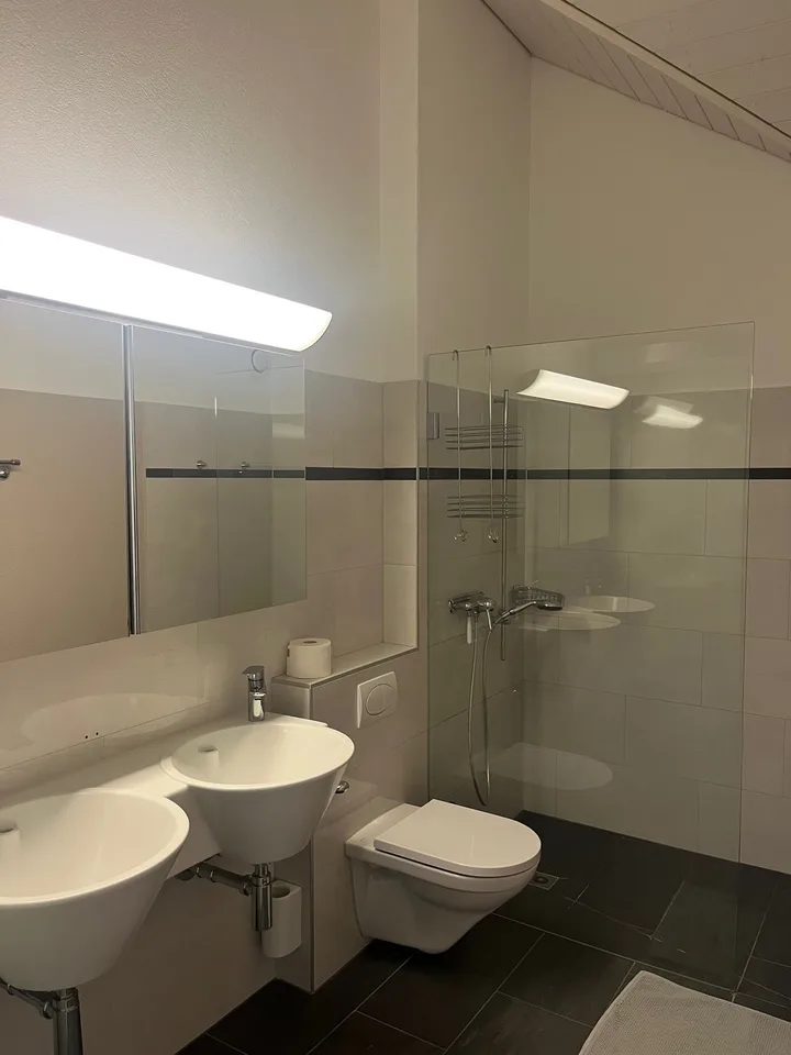 Helles Zimmer mit eigenem Bad & Balkon in moderner 145sqm Dachwohnung in Thalwil (Nähe Zürich) – foto 7 di 8