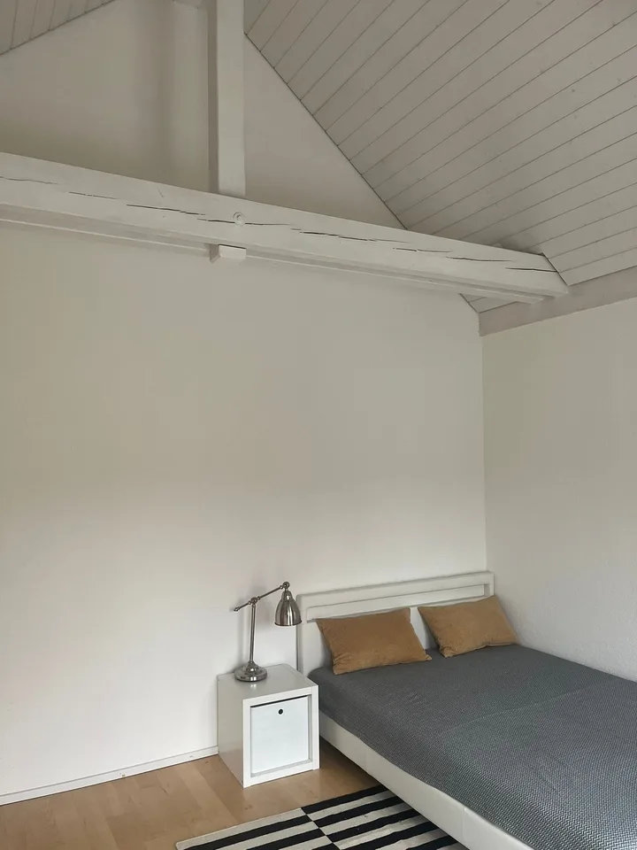 Helles Zimmer mit eigenem Bad & Balkon in moderner 145sqm Dachwohnung in Thalwil (Nähe Zürich) – foto 5 di 8