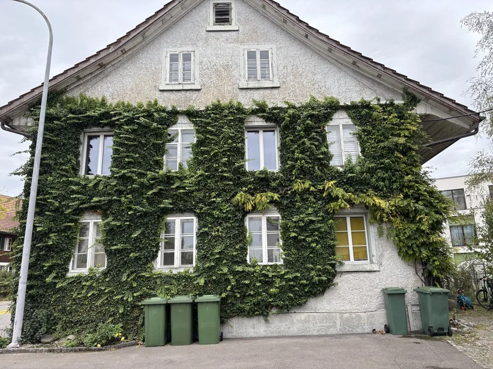 Appartement 5 pièces à louer à Volketswil – photo 3 sur 13